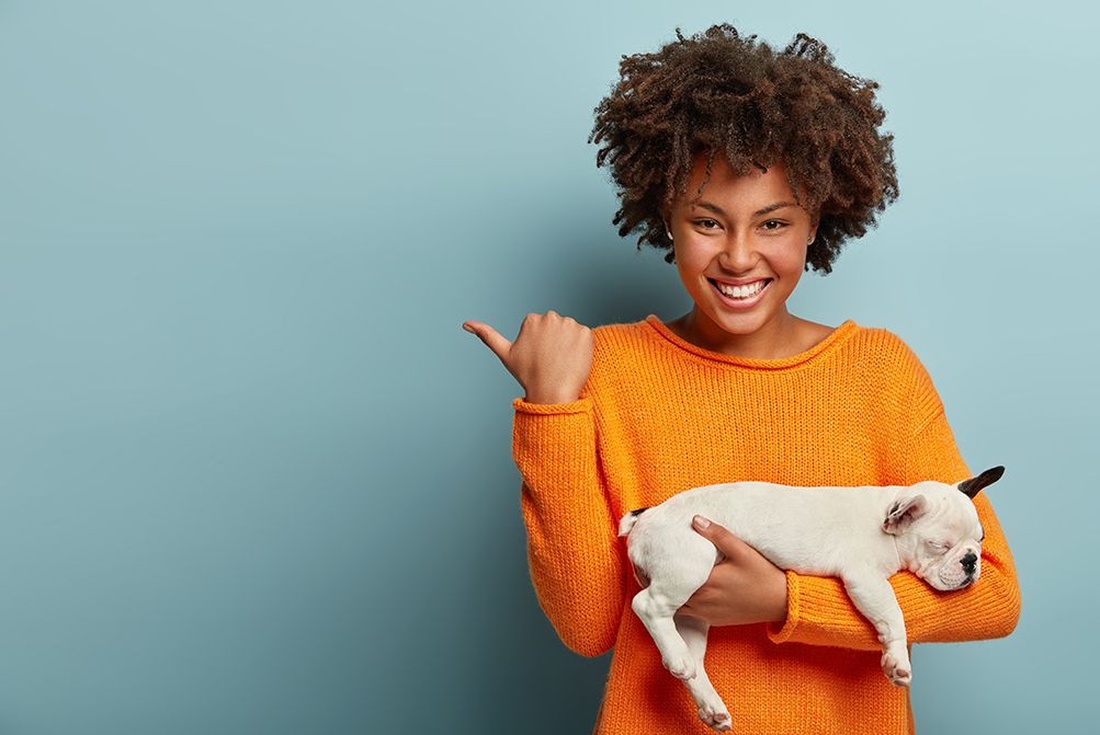 horizontal shot pleased afro woman points away free space shows direction pet store bought pedigree puppy has pleasant smile face models blue wall love dog owner
