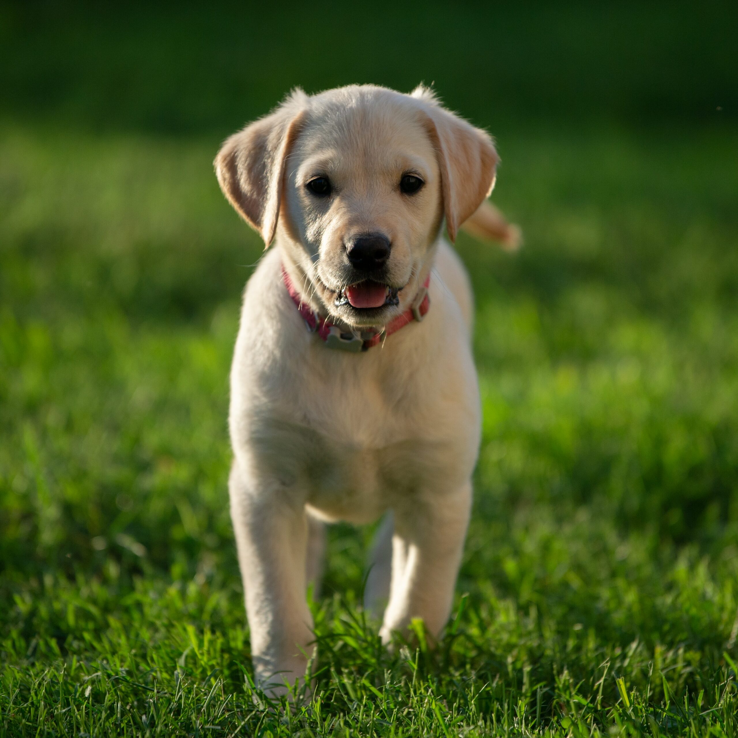 ben owen FFwNGYZK 2o unsplash 1