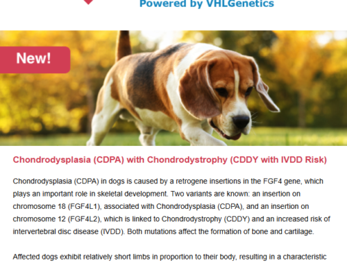 New DNA tests & updates May
