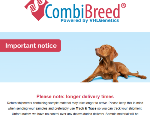 New DNA tests & updates August